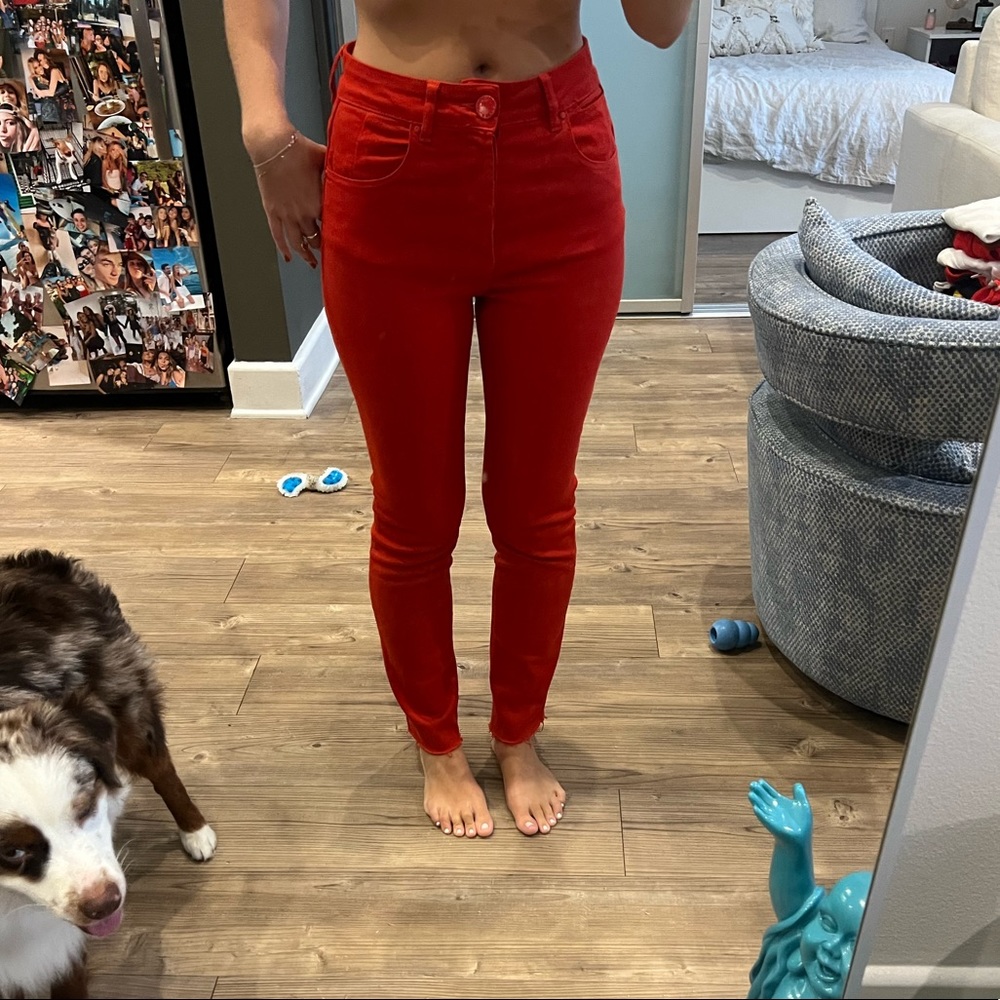 Red Jeans - Animale - 36 Brazil size